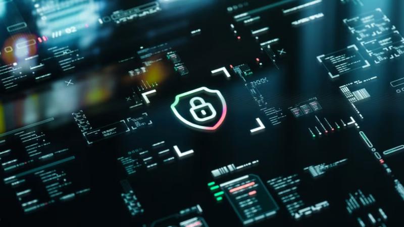 罗湖区软件开发公司